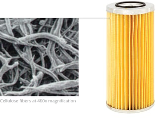 Cellulose Element with fibers image