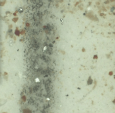 Patch test image showing particle contamination in new hydraulic oil at 10x magnification.